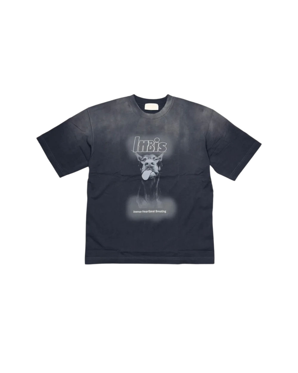 t-shirt dog, Grigio