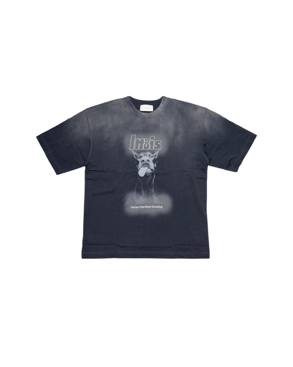 t-shirt chien